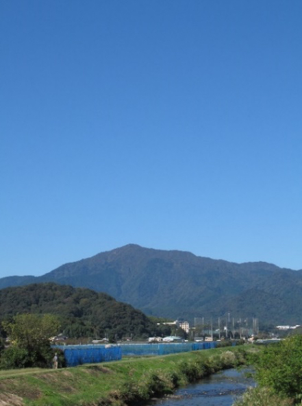 ~会社のイメージをラベルから~